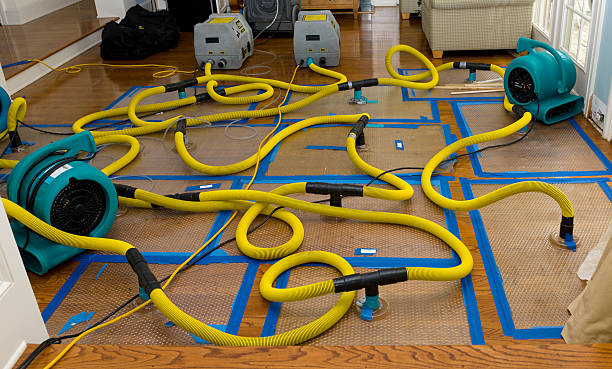Professional Storm Water Damage Restoration technician working in Crown City, OH