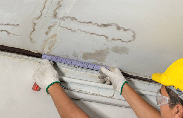 Affordable Water Damage Repair solutions in Crown City, OH